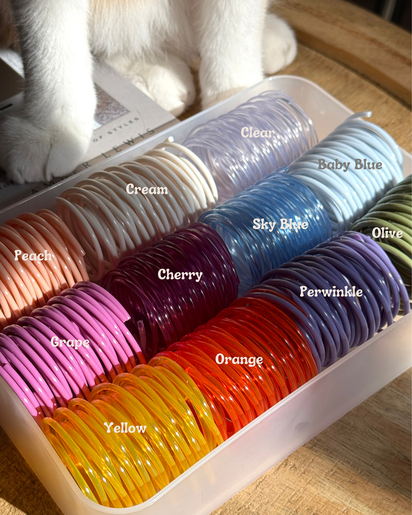 Solid and Translucent Cat Toy Springs (Pack of 5)