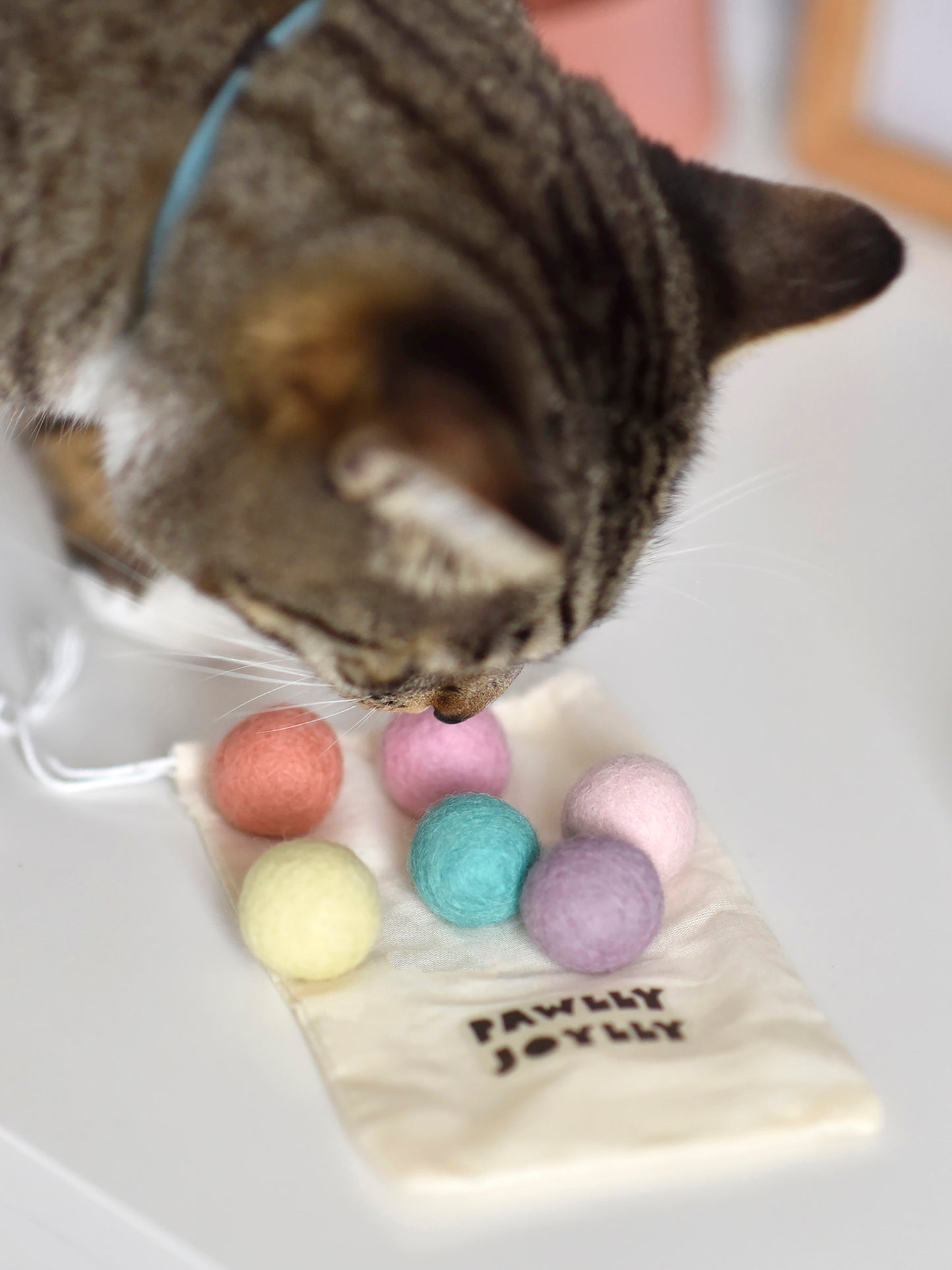 Felt Ball Cat Toy with Catnip (Pack of 6)