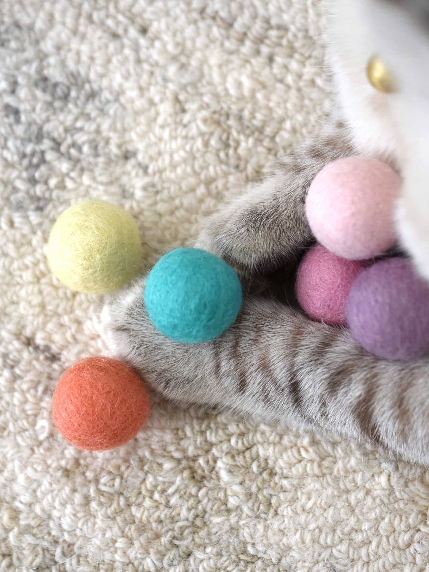 Felt Ball Cat Toy with Catnip (Pack of 6)