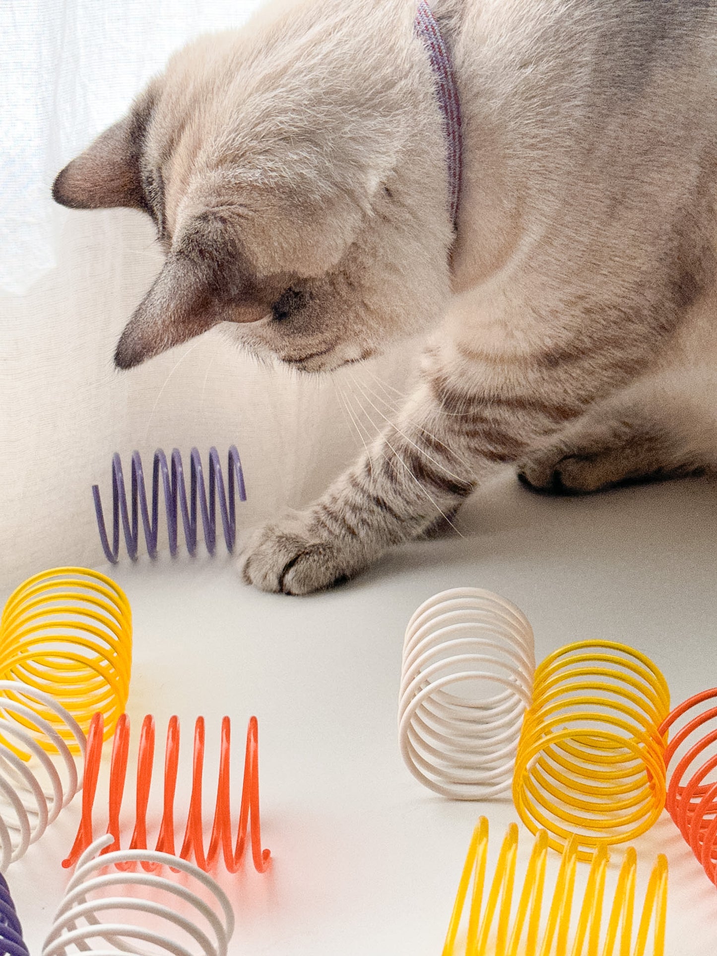 Solid and Translucent Cat Toy Springs (Pack of 5)