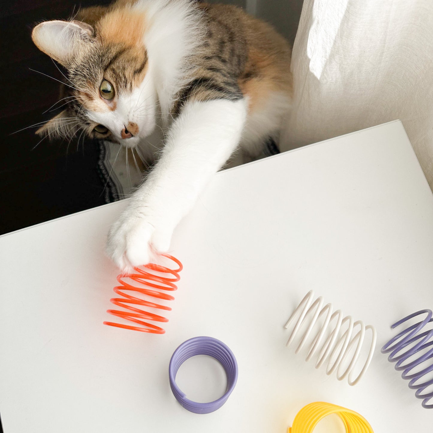 Solid and Translucent Cat Toy Springs (Pack of 5)