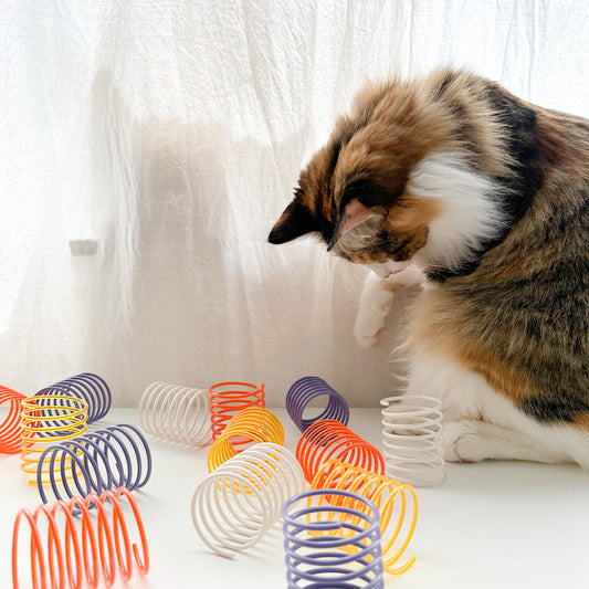 Solid and Translucent Cat Toy Springs (Pack of 5)