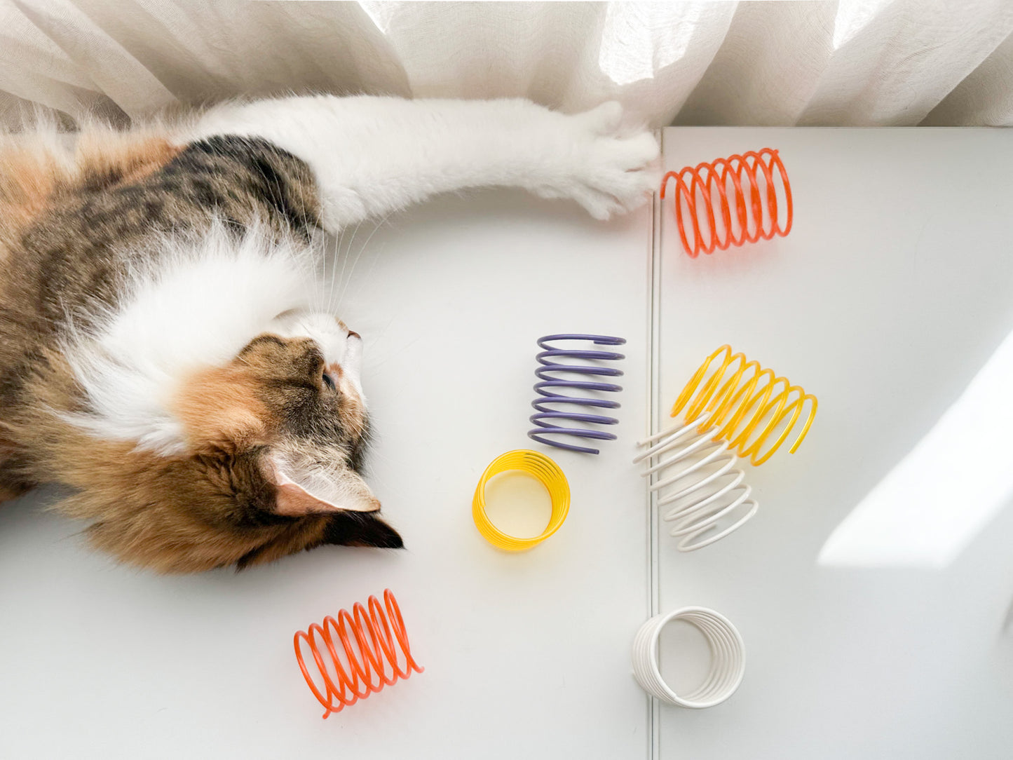 Solid and Translucent Cat Toy Springs (Pack of 5)