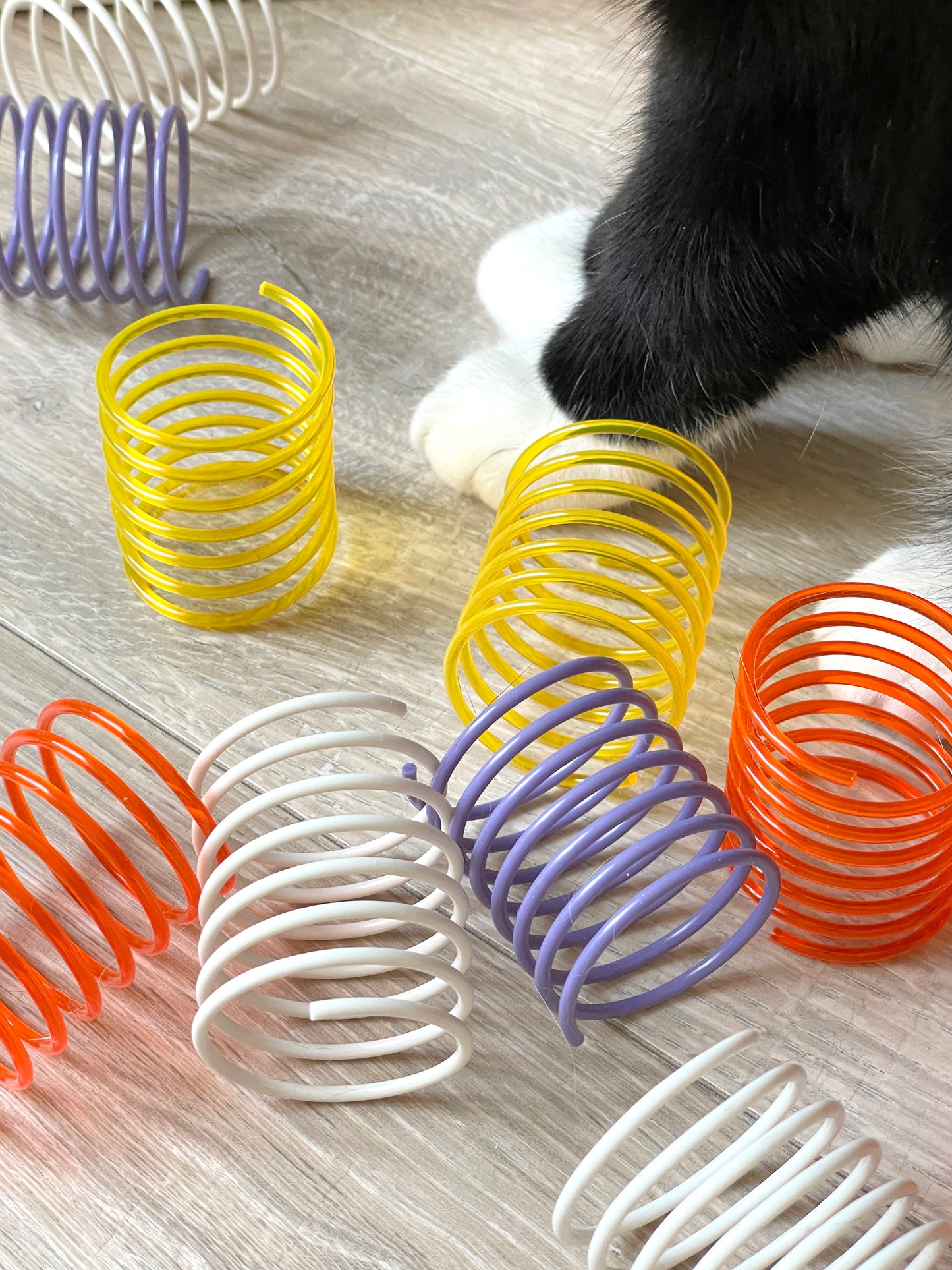 Solid and Translucent Cat Toy Springs (Pack of 5)