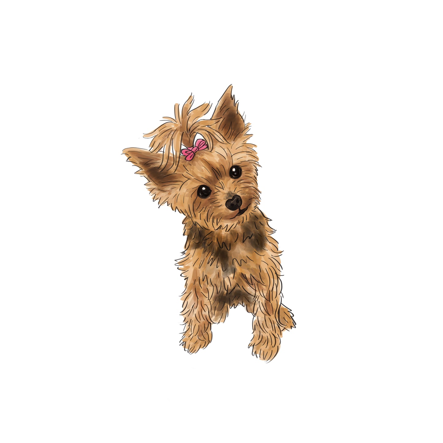 Custom Pet Portrait