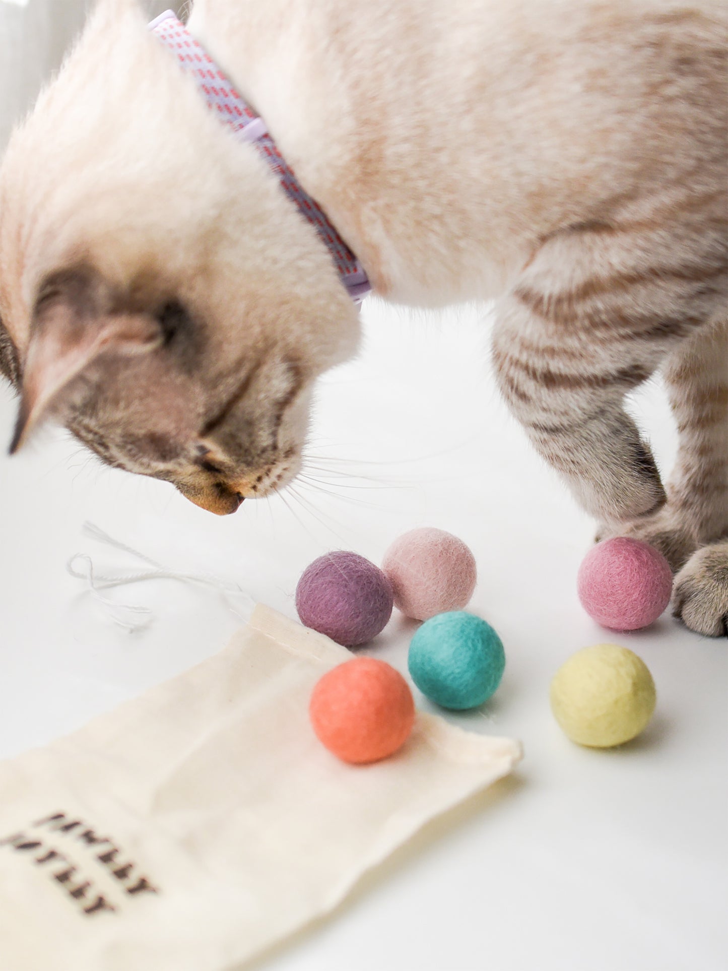 Felt Ball Cat Toy with Catnip (Pack of 6)