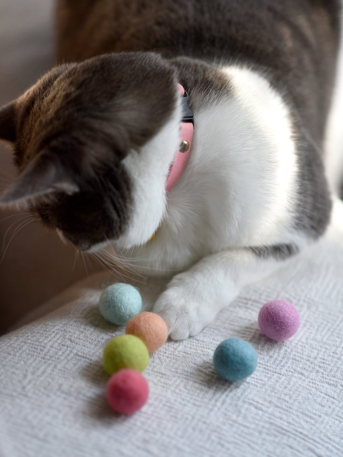 Felt Ball Cat Toy with Catnip (Pack of 6)