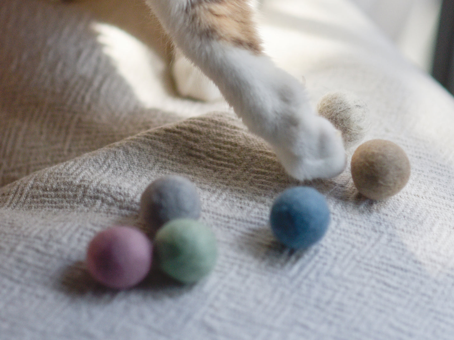 Felt Ball Cat Toy with Catnip (Pack of 6)